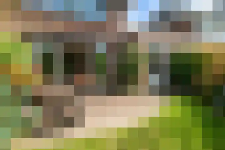 Benningskamplaan 84 Uitgeest thumbnail 5