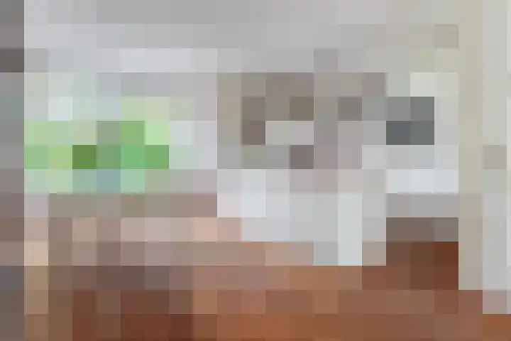 Benningskamplaan 84 Uitgeest thumbnail 8