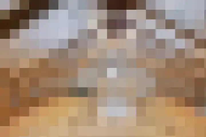 Benninkstraat 3 Haaksbergen thumbnail 24