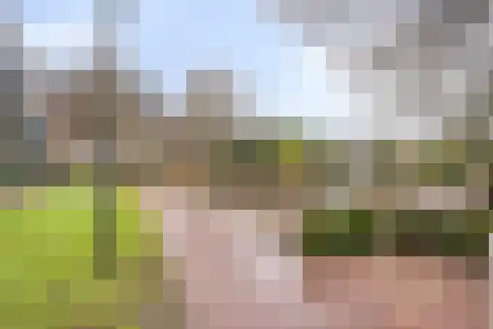 Benninkstraat 3 Haaksbergen thumbnail 33