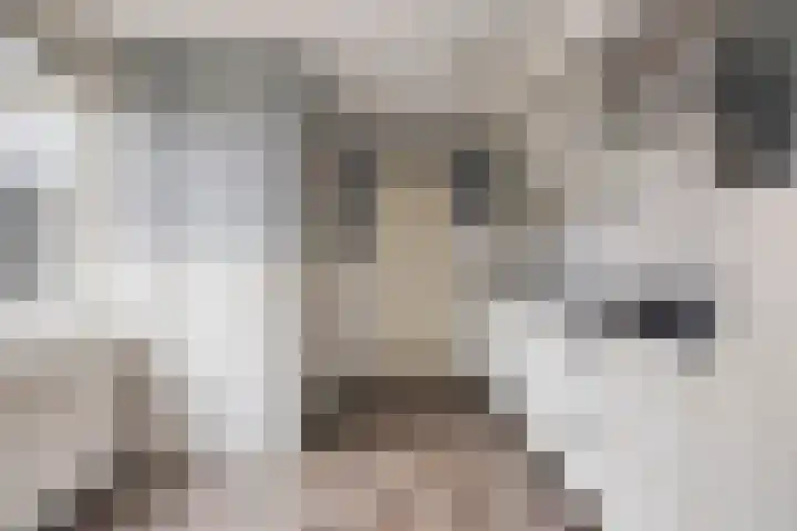 Benninkstraat 3 Haaksbergen thumbnail 4