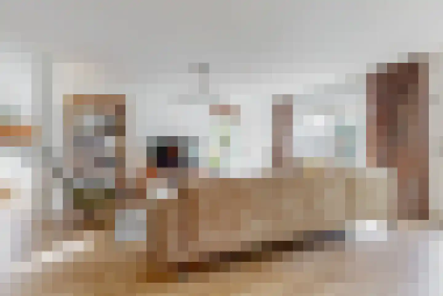 Benny Goodmanstraat 16 Zaandijk thumbnail 12