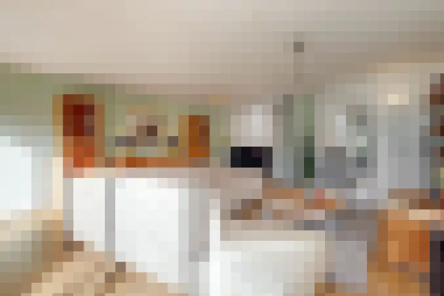 Benny Goodmanstraat 16 Zaandijk thumbnail 13