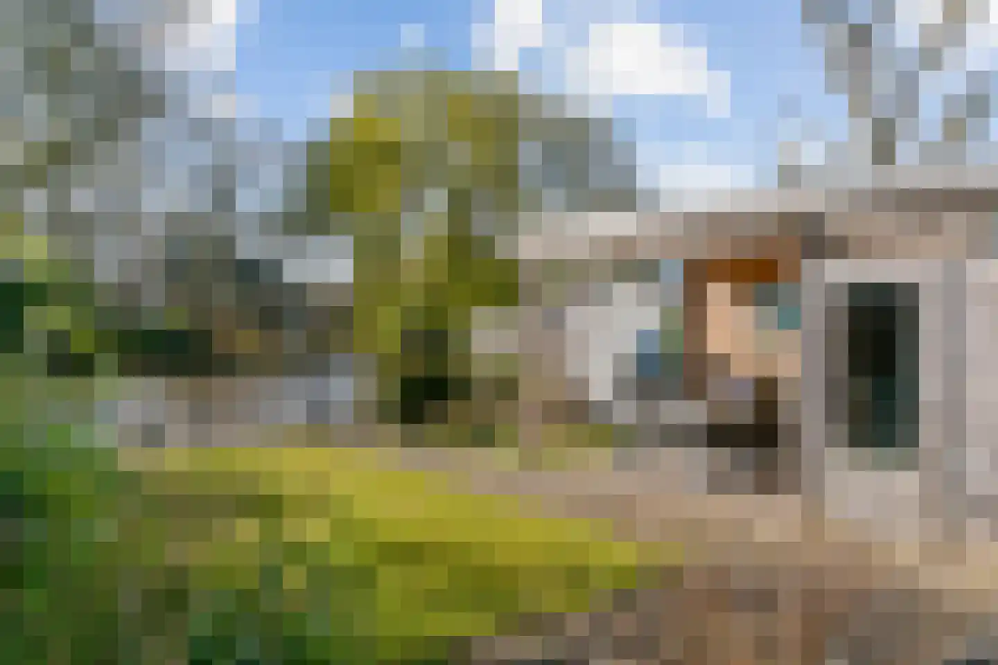 Benny Goodmanstraat 16 Zaandijk thumbnail 37
