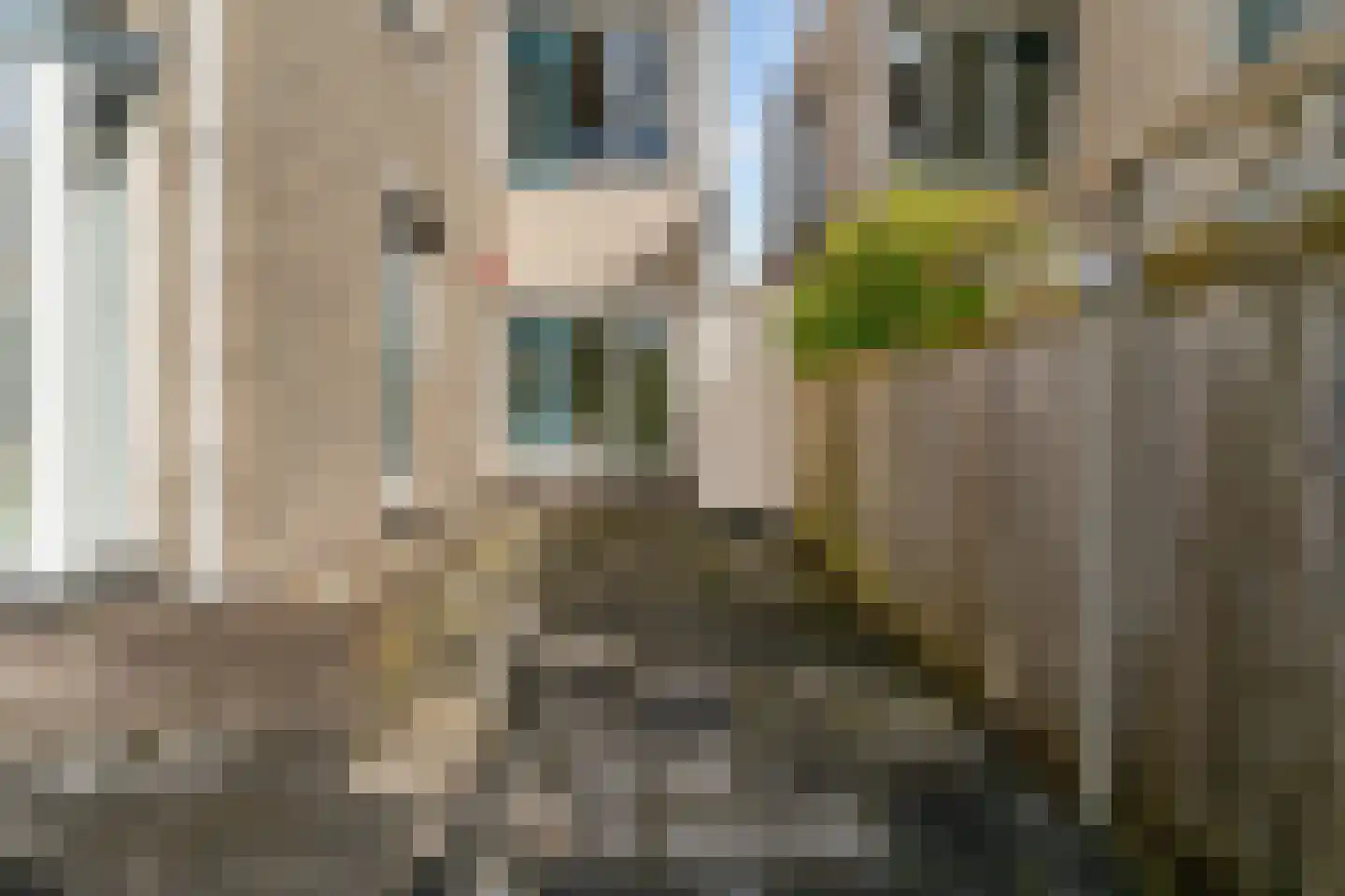 Benny Goodmanstraat 16 Zaandijk thumbnail 42