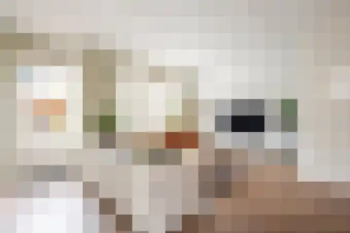 Benny Goodmanstraat 7 Almere thumbnail 7