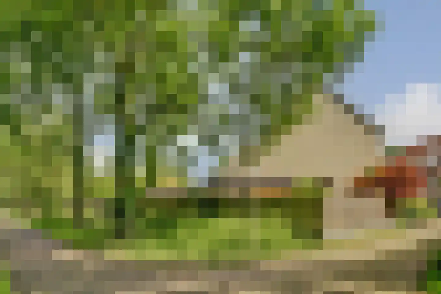 Benonigaard 42 Arnhem thumbnail 30