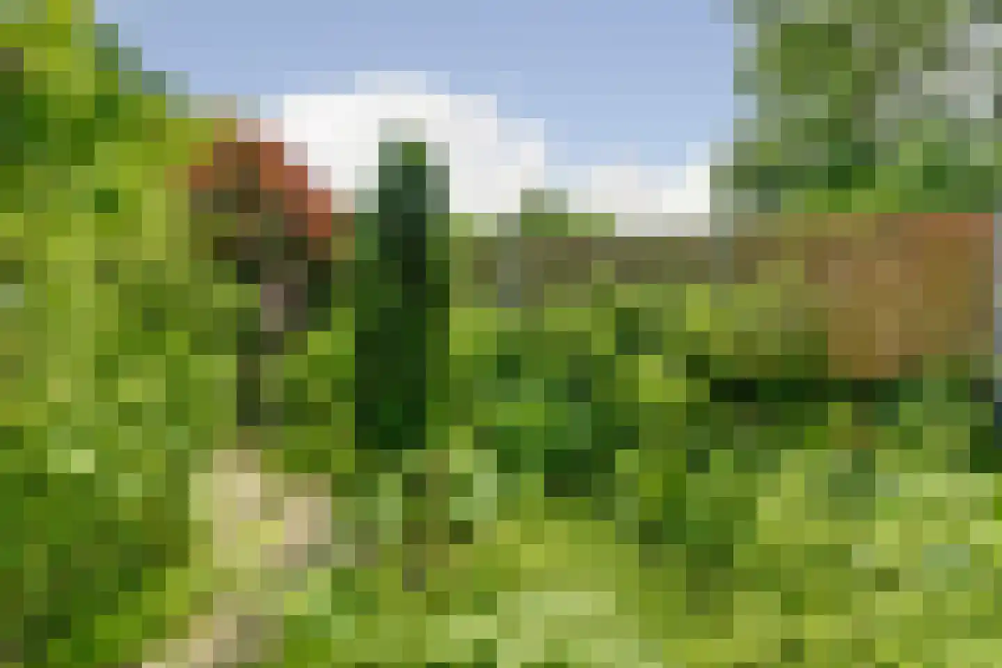 Benonigaard 42 Arnhem thumbnail 32
