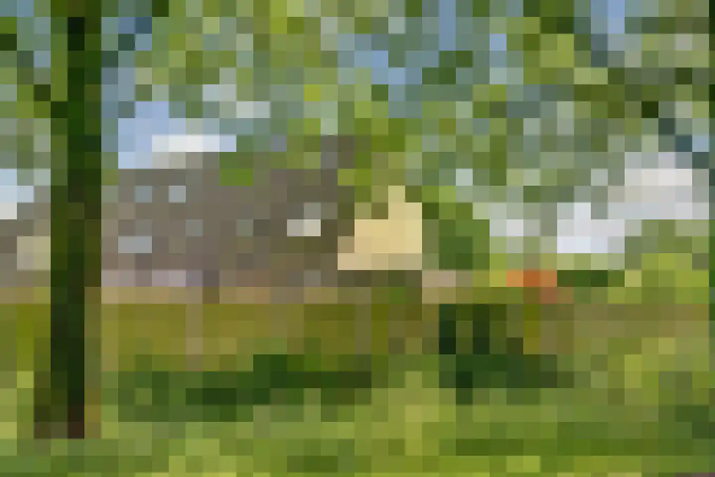 Benonigaard 42 Arnhem thumbnail 36