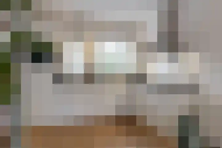 Benonilaan 2 Blokker thumbnail 10