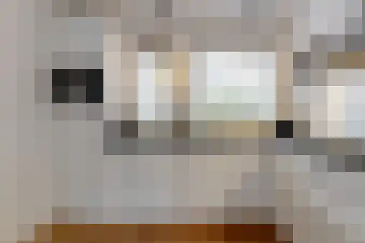 Benonilaan 2 Blokker thumbnail 11