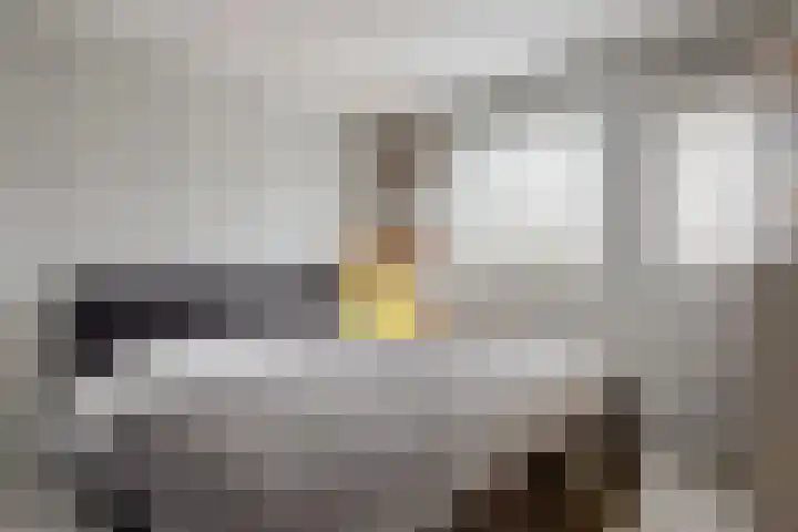 Benonilaan 2 Blokker thumbnail 14