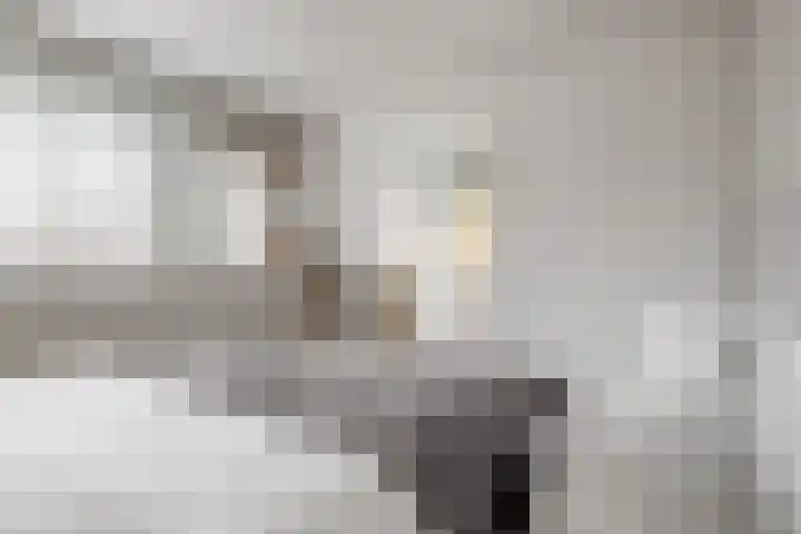Benonilaan 2 Blokker thumbnail 15