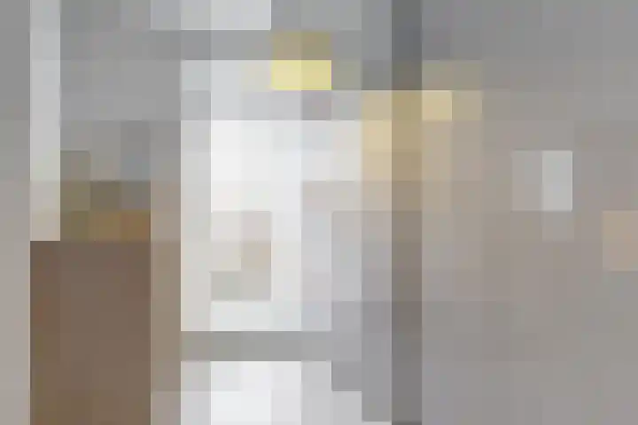 Benonilaan 2 Blokker thumbnail 17