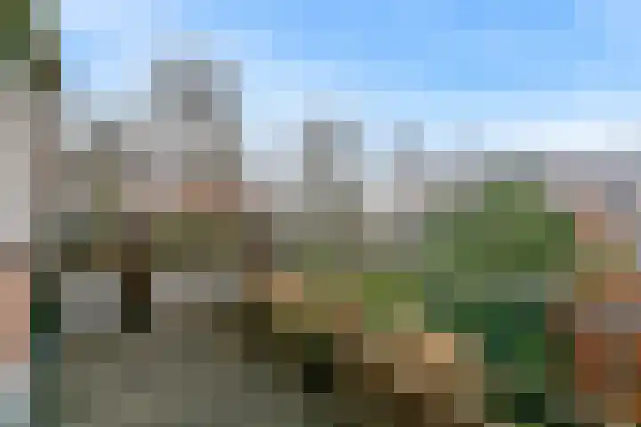 Benonilaan 2 Blokker thumbnail 18