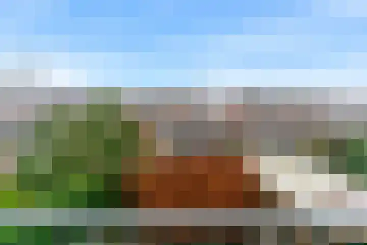 Benonilaan 2 Blokker thumbnail 19