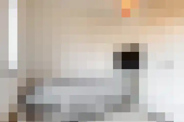 Benonilaan 2 Blokker thumbnail 22