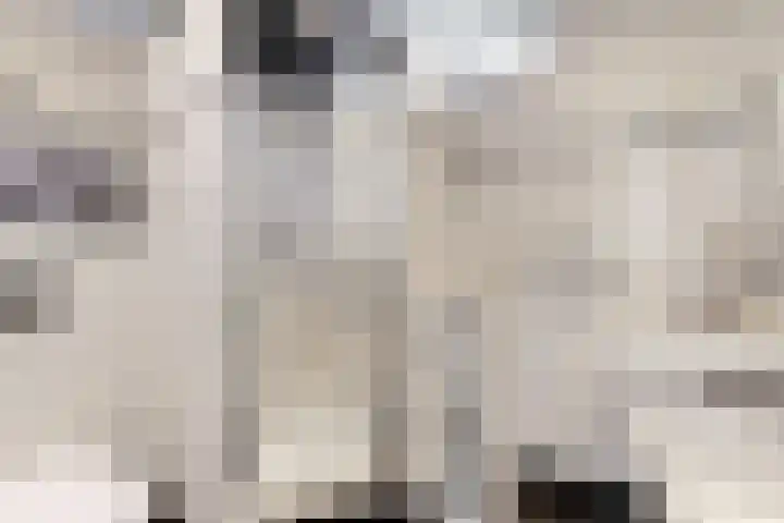 Benonilaan 2 Blokker thumbnail 23