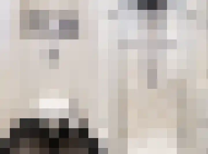 Benonilaan 2 Blokker thumbnail 24