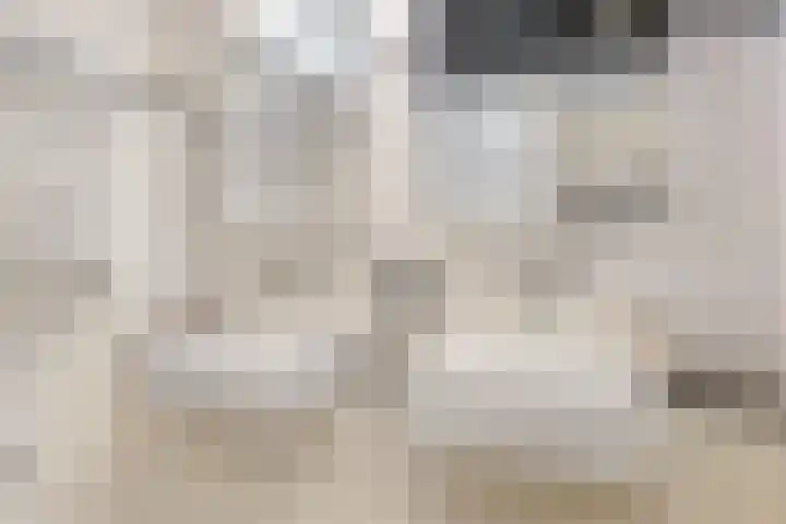 Benonilaan 2 Blokker thumbnail 25