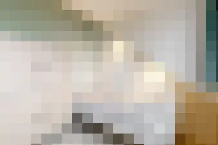 Benonilaan 2 Blokker thumbnail 27