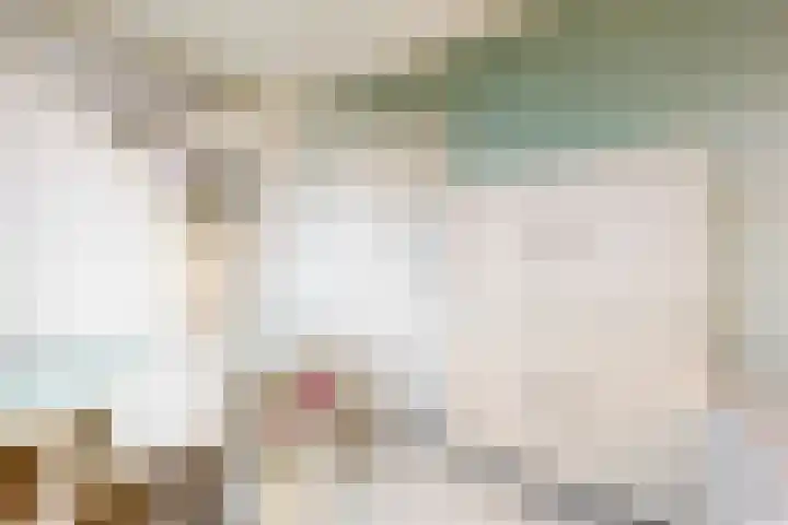 Benonilaan 2 Blokker thumbnail 29