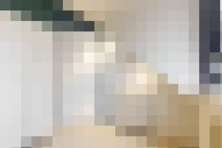 Benonilaan 2 Blokker thumbnail 31