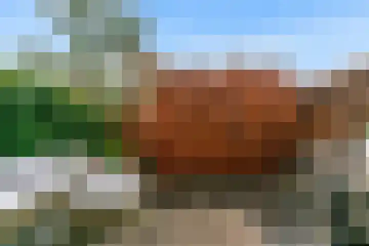 Benonilaan 2 Blokker thumbnail 34