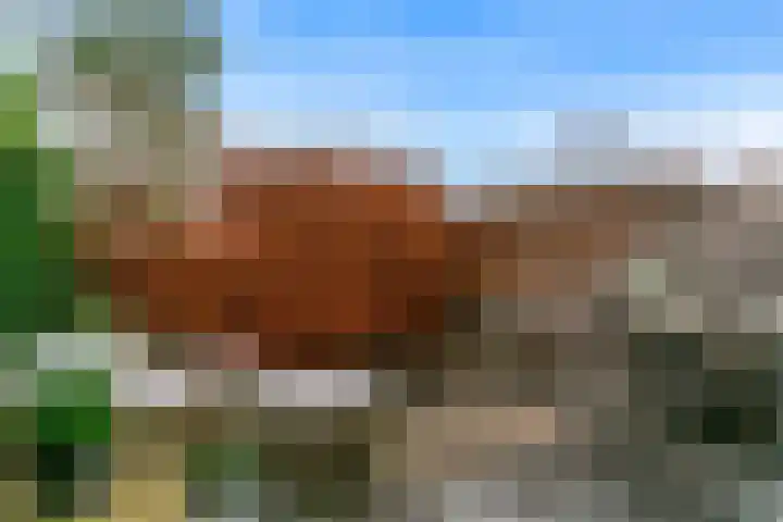 Benonilaan 2 Blokker thumbnail 35