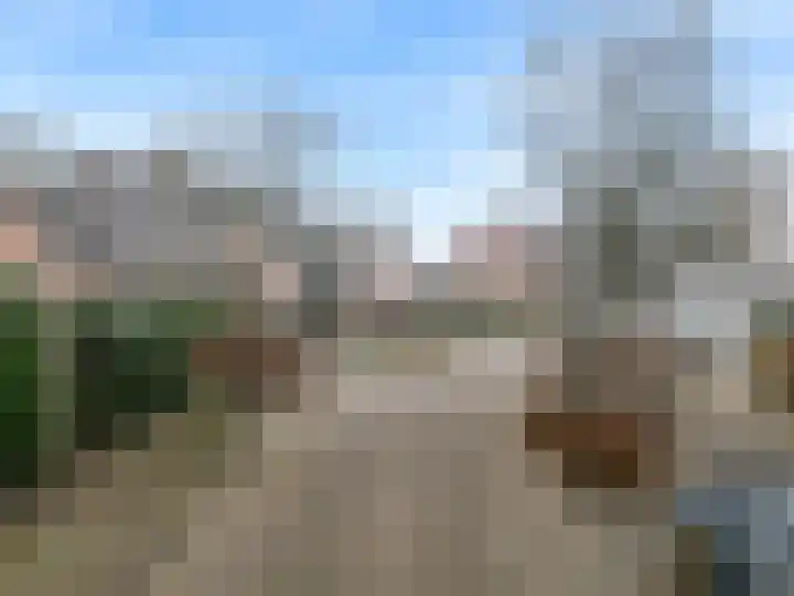 Benonilaan 2 Blokker thumbnail 41