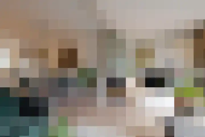 Benonilaan 2 Blokker thumbnail 5
