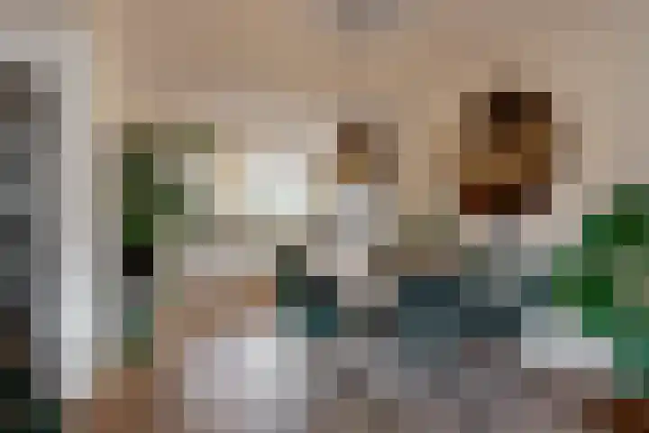 Benonilaan 2 Blokker thumbnail 6