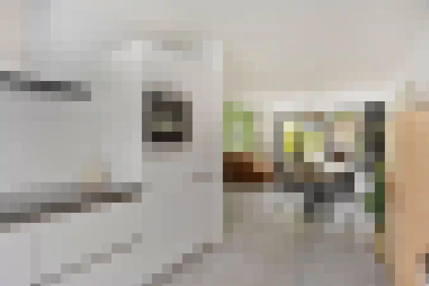 Benonistraat 32 Zuidoostbeemster thumbnail 14