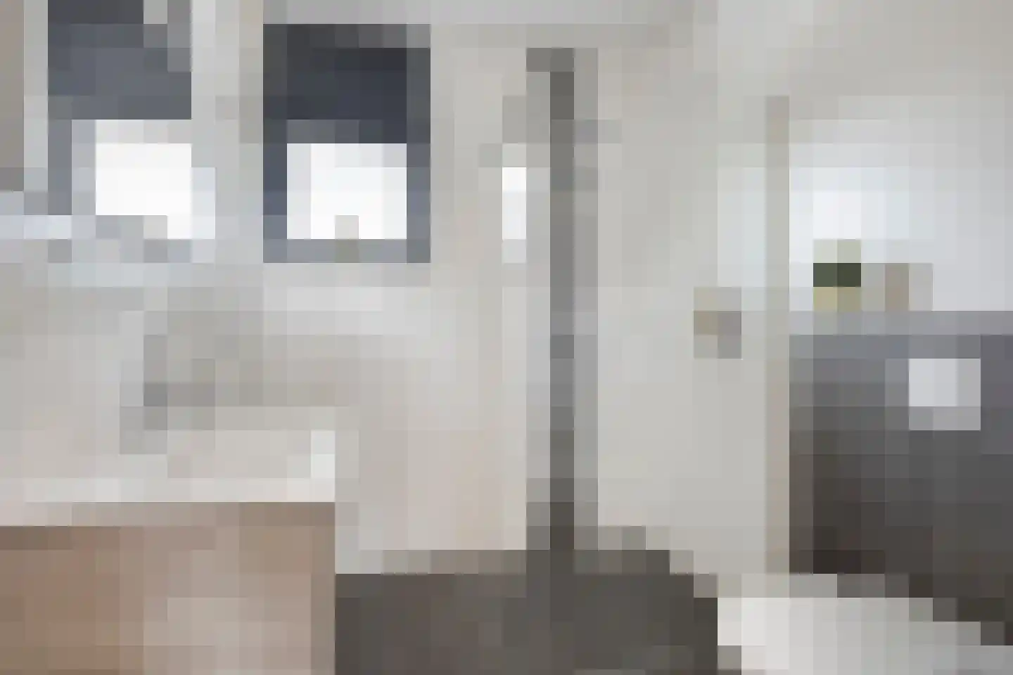 Benonistraat 32 Zuidoostbeemster thumbnail 19