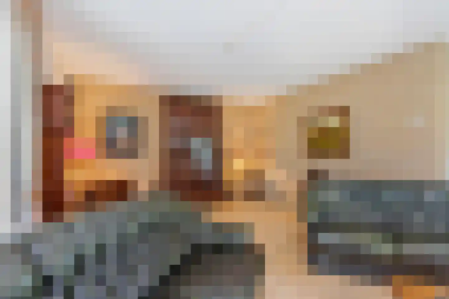 Benoordenhout 1 Amersfoort thumbnail 11