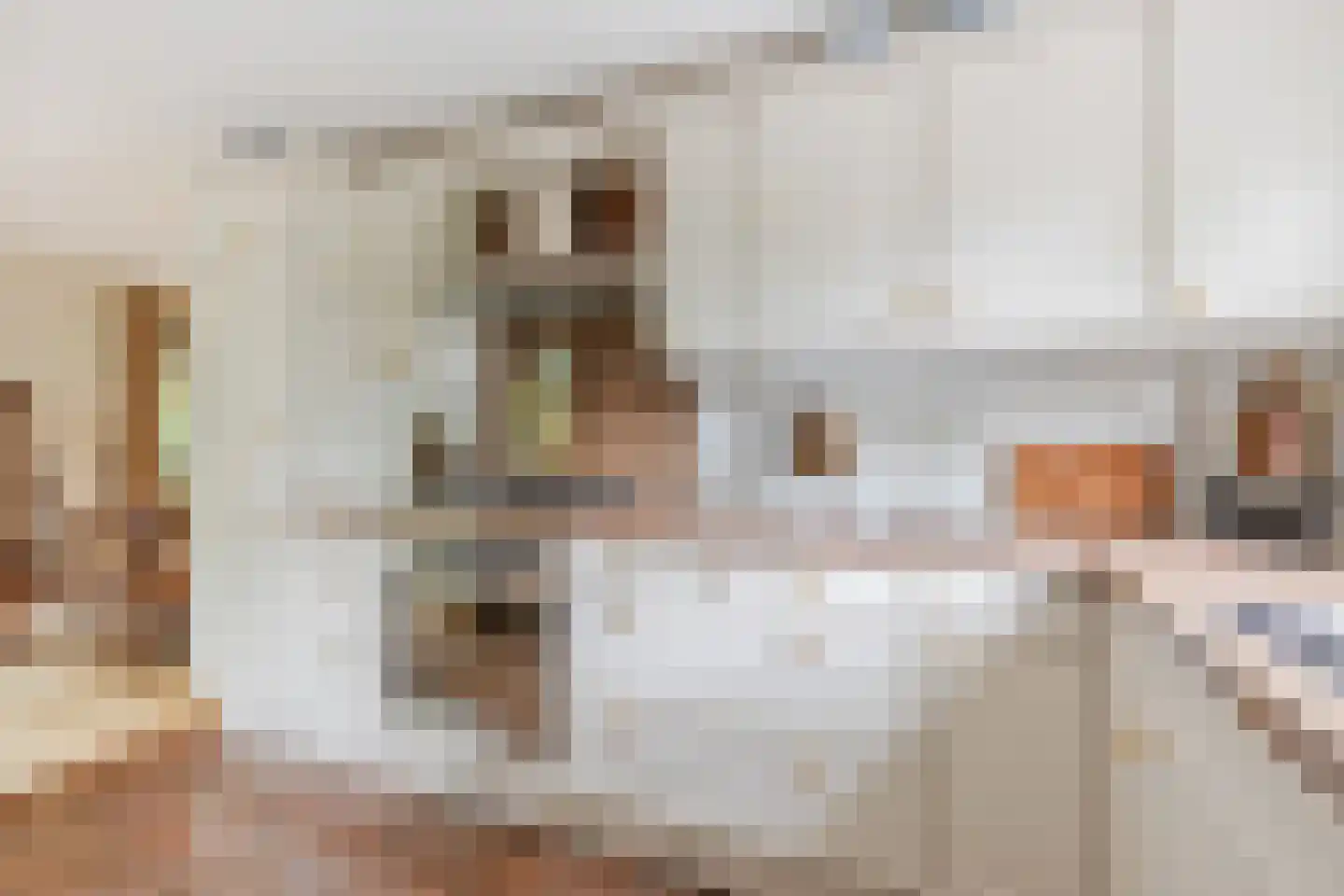 Benoordenhout 1 Amersfoort thumbnail 16