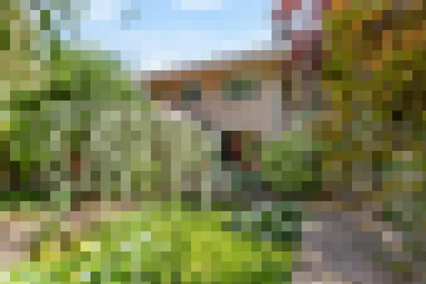 Benoordenhout 1 Amersfoort thumbnail 35