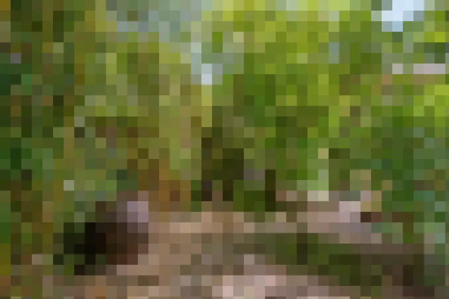 Benoordenhout 1 Amersfoort thumbnail 36