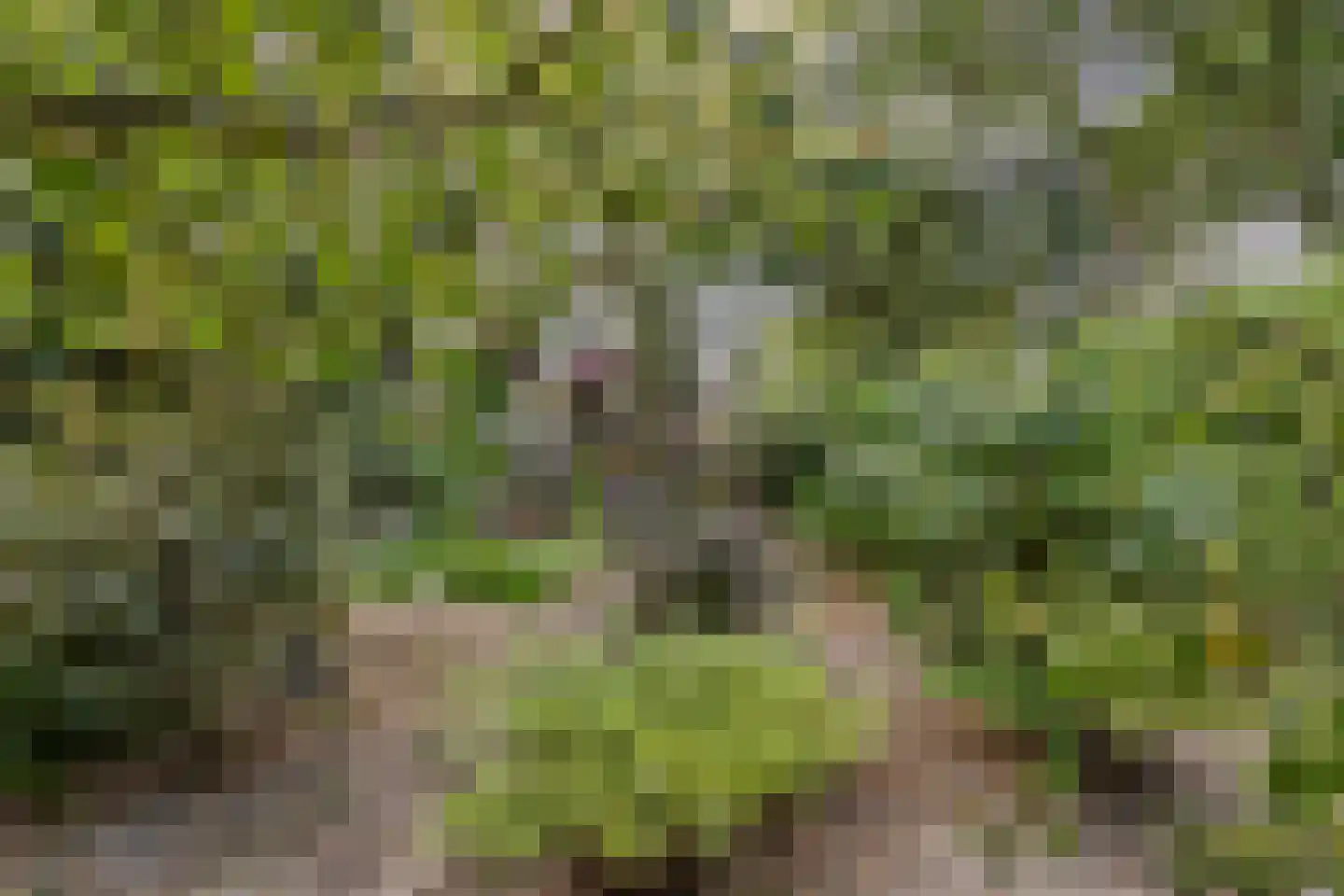 Benoordenhout 1 Amersfoort thumbnail 37