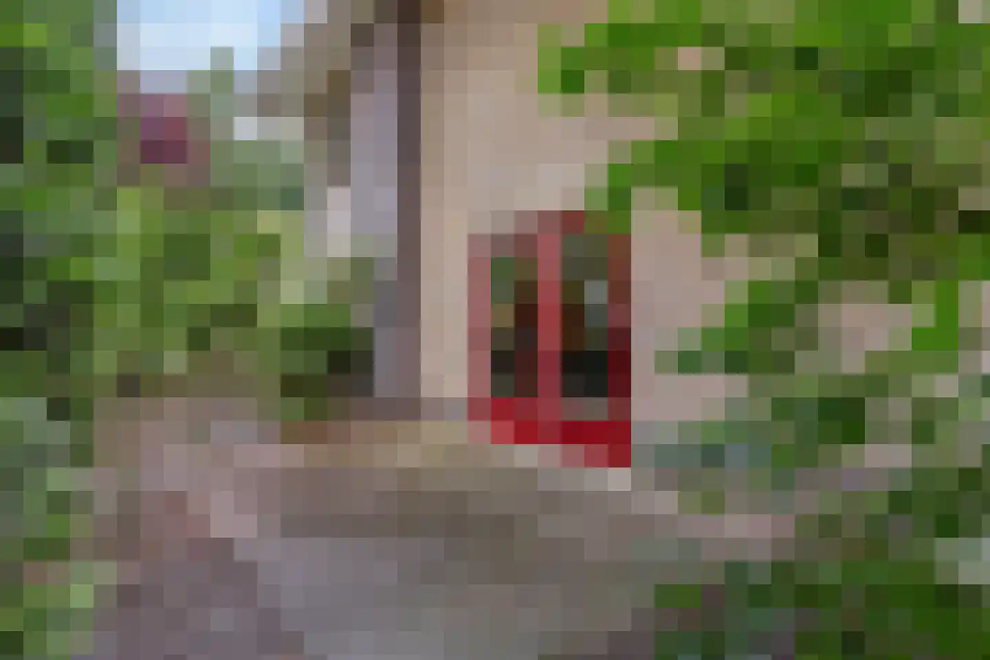 Benoordenhout 1 Amersfoort thumbnail 39