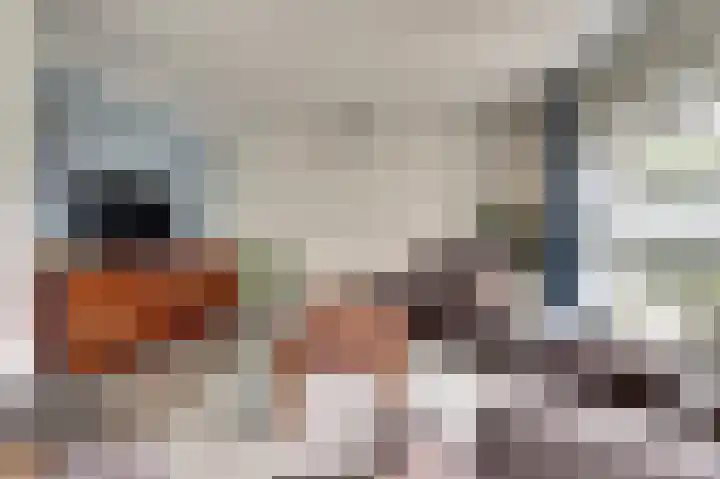 Benraatshoef 12 Raamsdonksveer thumbnail 10