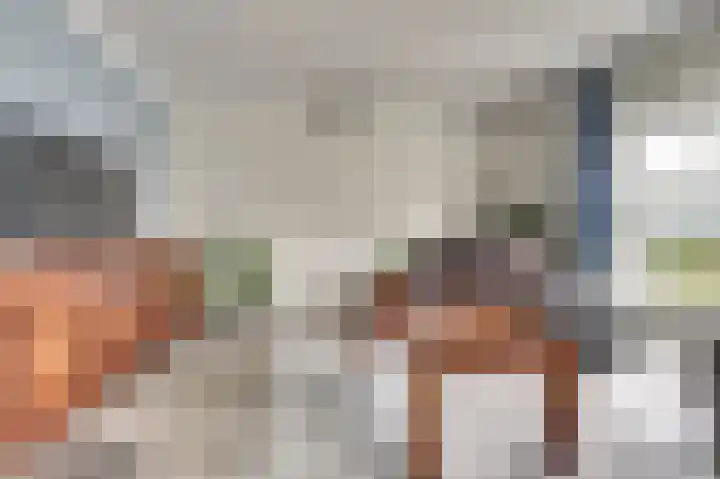 Benraatshoef 12 Raamsdonksveer thumbnail 11
