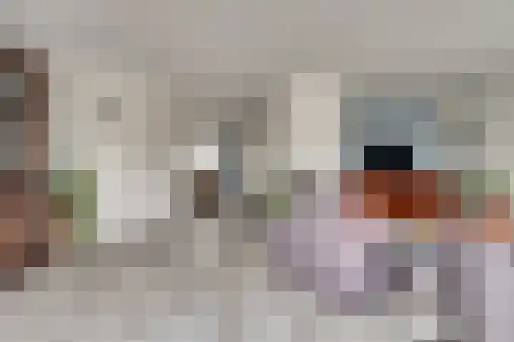 Benraatshoef 12 Raamsdonksveer thumbnail 13