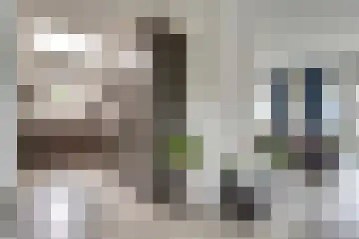 Benraatshoef 12 Raamsdonksveer thumbnail 14