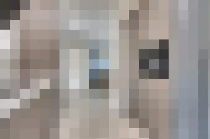 Benraatshoef 12 Raamsdonksveer thumbnail 15