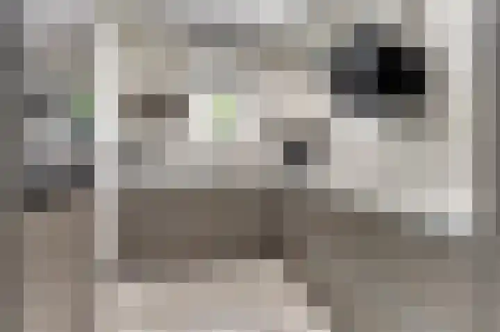 Benraatshoef 12 Raamsdonksveer thumbnail 19