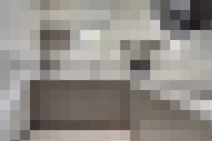 Benraatshoef 12 Raamsdonksveer thumbnail 20