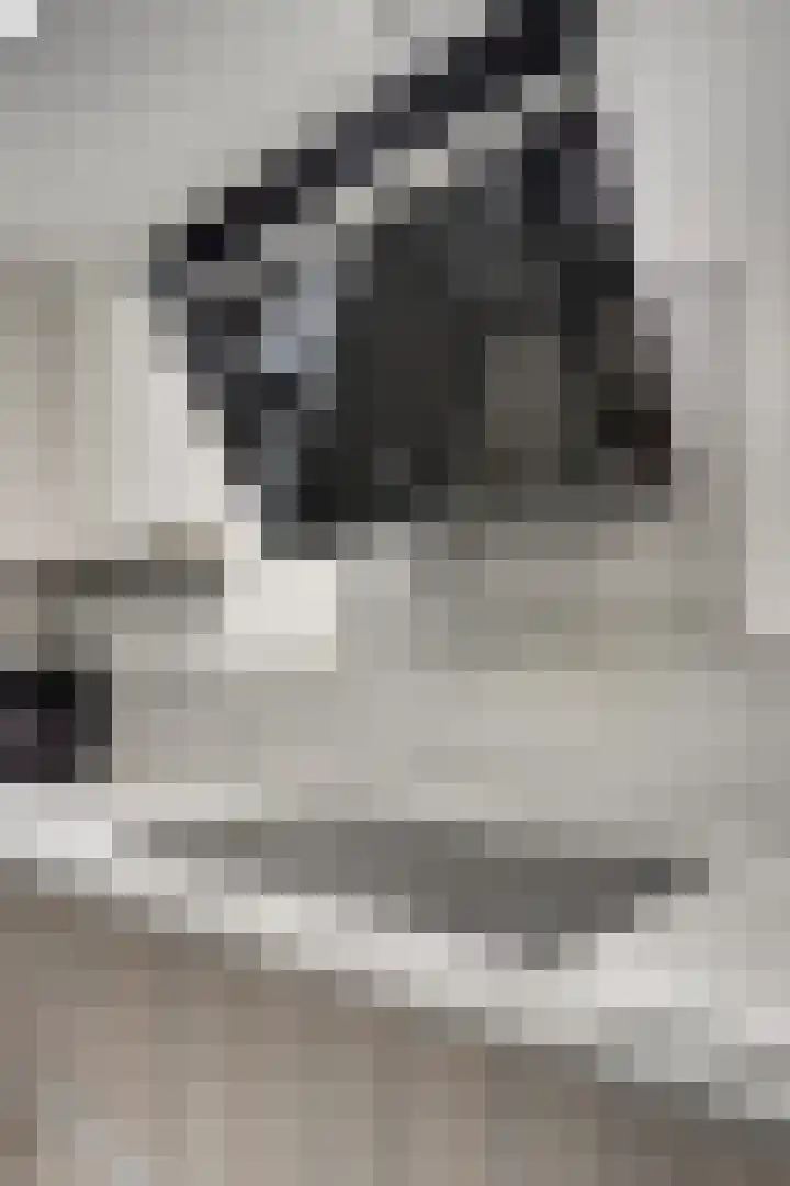Benraatshoef 12 Raamsdonksveer thumbnail 21