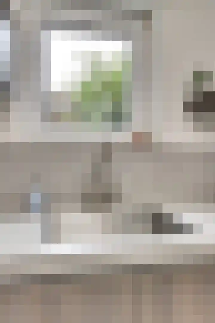 Benraatshoef 12 Raamsdonksveer thumbnail 22