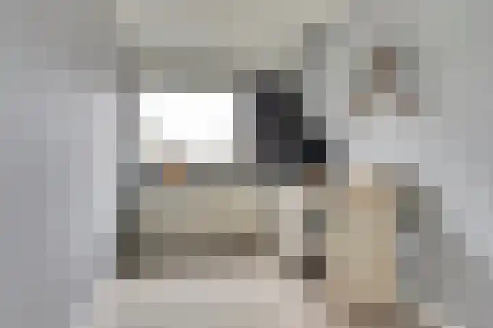 Benraatshoef 12 Raamsdonksveer thumbnail 27